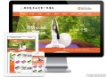   2021-05-17易优cms橙色风格瑜伽垫用品订制厂家企业网站模板源码 带手机版