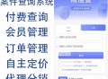 新版精准查询